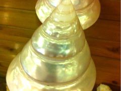 -亚龙湾中心广场·贝壳馆