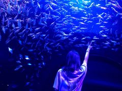 -成都浩海立方海洋公园