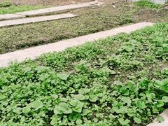 -洪湖家庭农场·团建·露营·会议