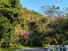 -广州市白云山风景名胜区