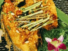 -滇道云南特色料理(康定路店)