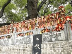 -大槐树寻根祭祖园
