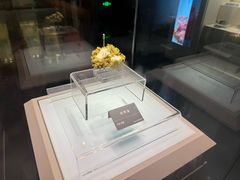 -安徽省地质博物馆