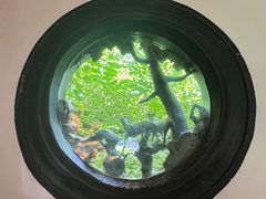 -宋宴(虎跑店)