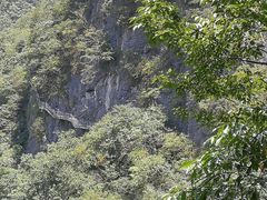 -千岛湖石林