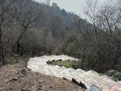 -巢湖姥山岛