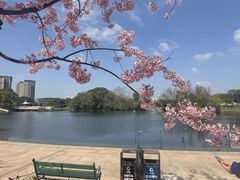 -新江湾城公园
