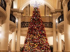 -LONG BAR 廊吧(外滩华尔道夫酒店)