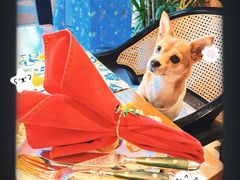 -弗兰克牛排西餐厅Ribone steak house(柠檬花园店)