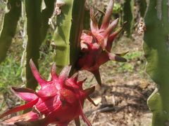 -广州锦绣香江度假别墅