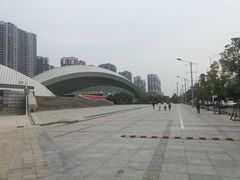 -嘉庚体育馆