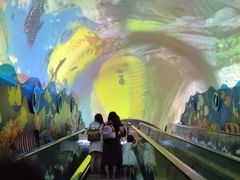 -成都浩海立方海洋公园