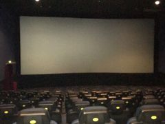 -AMG海上明珠影城(上海环球港RealDCinema店)