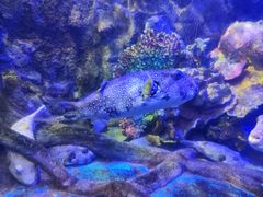 -太平洋海底世界博览馆·展览厅