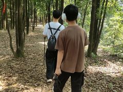 -广州市帽峰山景区