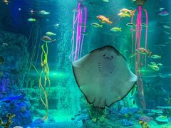 -沈阳海洋探索中心