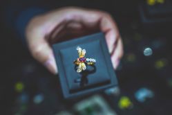 -藏晶堂(丰盛里店)