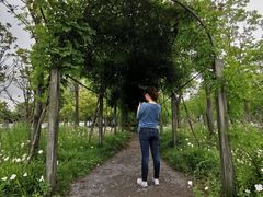 -上海长兴岛郊野公园