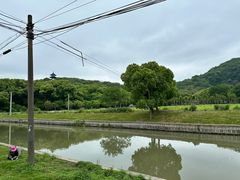 -上海佘山国家森林公园天马山园