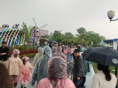 -荷兰花海