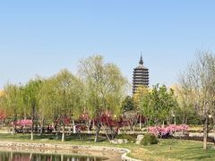 -西海子公园