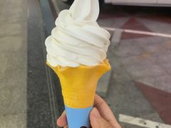 -自然椰·海南清补凉(海月广场店)