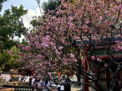 -宝墨园景区