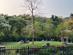 -火炉山森林公园