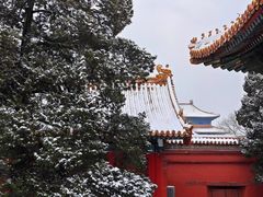 -故宫博物院(故宫)