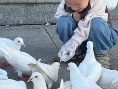 -西安汉城湖景区