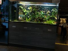 -大家乐(江门汇悦城店)