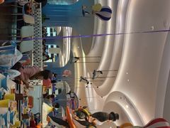 -帝企鹅自助餐厅•儿童岛•真企鹅(长隆企鹅酒店)