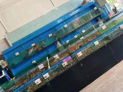 -叶姐海鲜(棋子湾店)