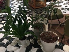 -一尺花园(安和花园店)