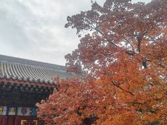 -香山公园