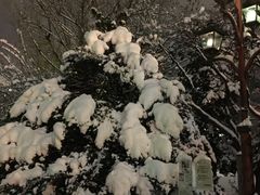 -北海道厅旧本厅舍(旧本庁舎)