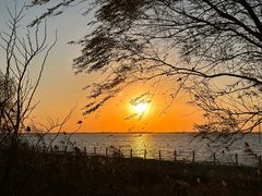 -莲花岛景区
