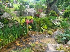 -东莞植物园