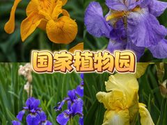 -国家植物园