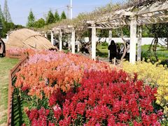 -苏州上方山国家森林公园