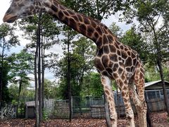 -清迈夜间动物园