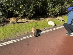 -艾溪湖湿地公园