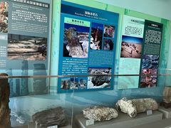 -延庆地质公园博物馆