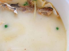-罗浮山·罗园农庄