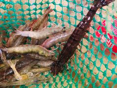 海鲜-山珍鲜牛肉火锅本地老字号(汕中老店)