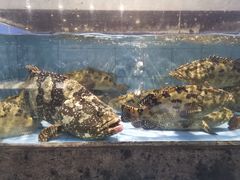 -徐记海鲜(大雁塔|金都店)