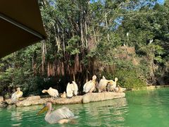 -珠海长隆海洋王国