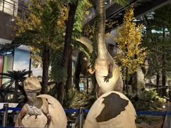 -湖南省地质博物馆