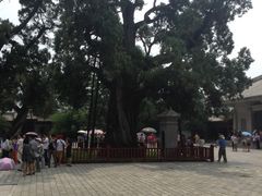 -黄帝陵