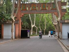 -灵谷景区